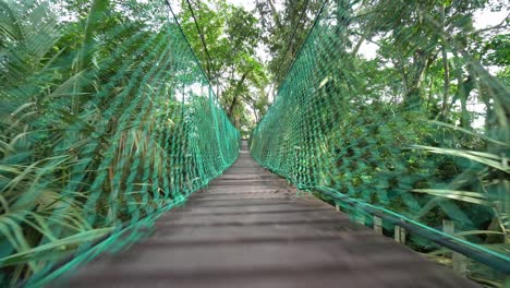 Walk-at-the-wooden-canopy-bridge